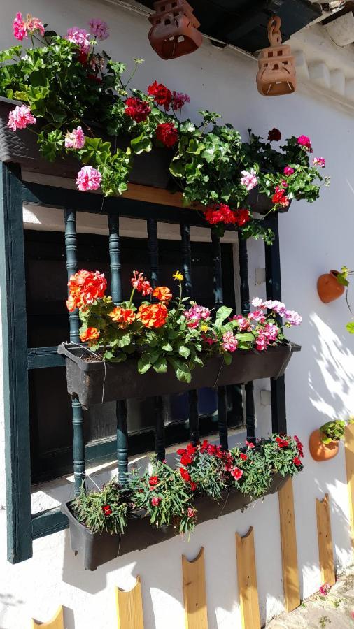 San Miguel La Boutique Hotel 4*